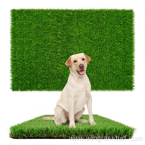High Demand Pet Artificial Grass